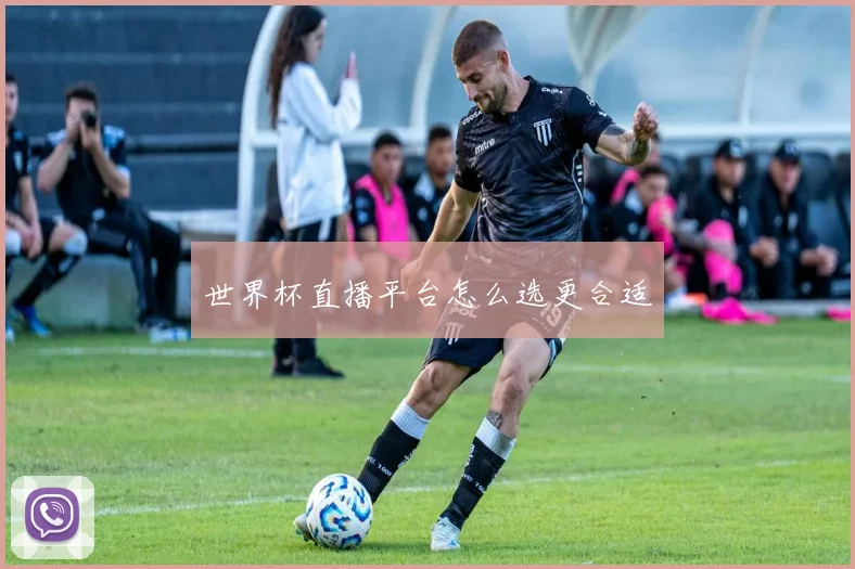 世界杯直播平台怎么选更合适