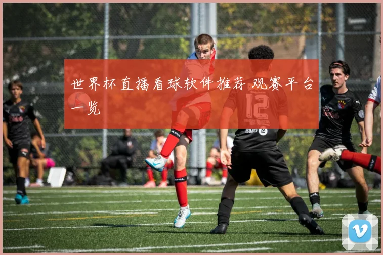 世界杯直播看球软件推荐 观赛平台一览