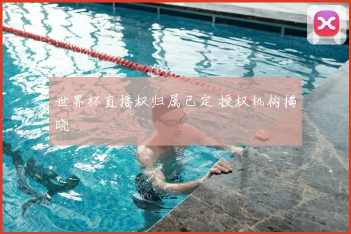 世界杯直播权归属已定 授权机构揭晓